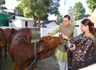 मुख्यमंत्री पुष्कर सिंह धामी ने गोवर्धन पूजा के अवसर पर मुख्यमंत्री आवास में गायों की पूजा कर उत्तराखंडवासियों की सुख- समृद्धि एवं खुशहाली की कामना की |
