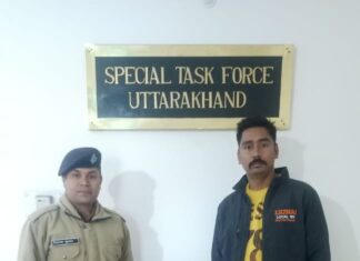 फर्जी वेबसाइट से फर्जी कंपनी के जरिए फर्जी ट्रेडिंग का लालच देकर धोखाधड़ी करने वाले को एसटीएफ ने किया गिरफ्तार।।